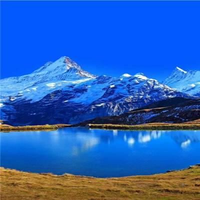 爱游戏体育下载截图