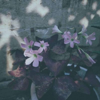 爱游戏体育下载