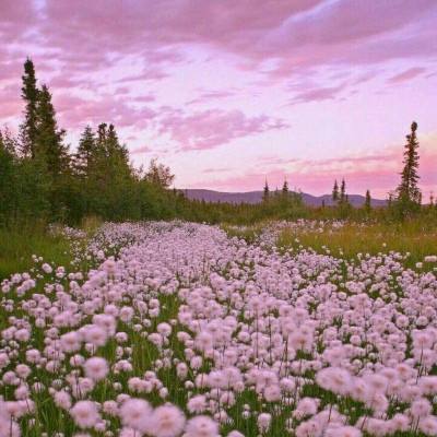 澳门·威尼斯人